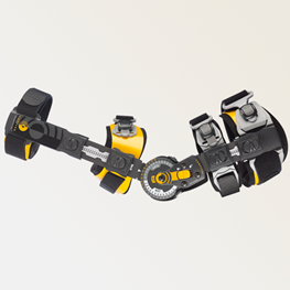 En svart og gul ortose