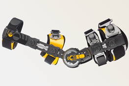 En svart og gul ortose