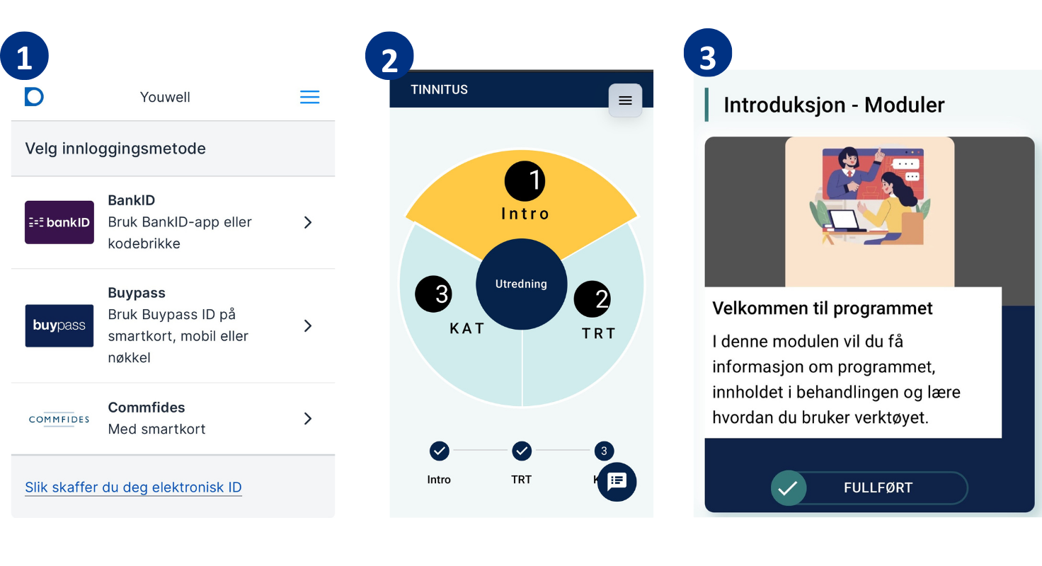 Viser tre trinn for å komme i gang med Tinnituskaka: 1. Logg inn med ID-porten. 2. Du får tilgang til det føreste kakestykket, introduksjon. 3. Skroll ned på siden og se introduksjonsvideoen.