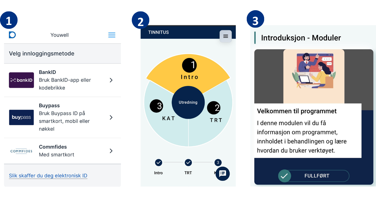 Viser tre trinn for å komme i gang med Tinnituskaka: 1. Logg inn med ID-porten. 2. Du får tilgang til det føreste kakestykket, introduksjon. 3. Skroll ned på siden og se introduksjonsvideoen.