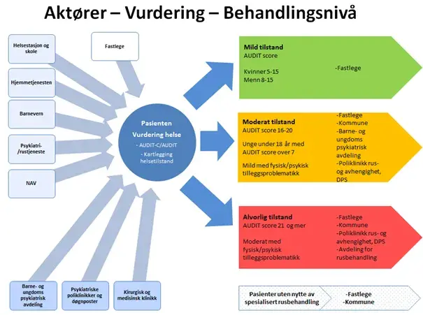 Diagram over aktører i avhengighetsbehandling