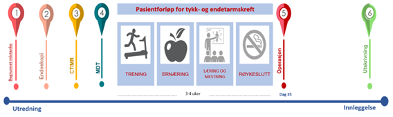 Skjema pasientforløp tykk- og endetarmskreft