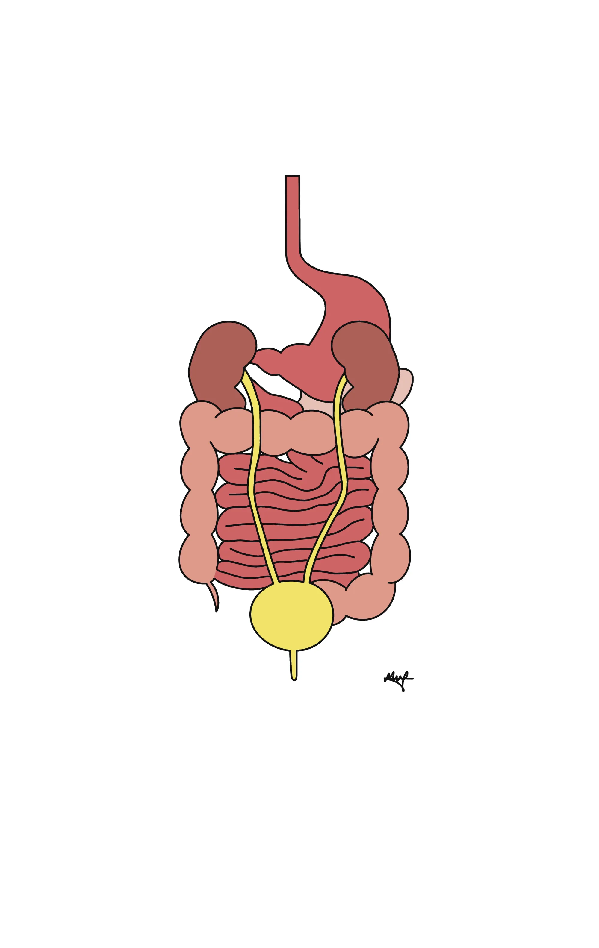 Diagram