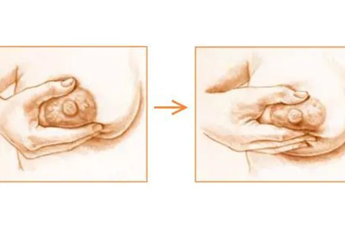 Illustrasjon håndmelking