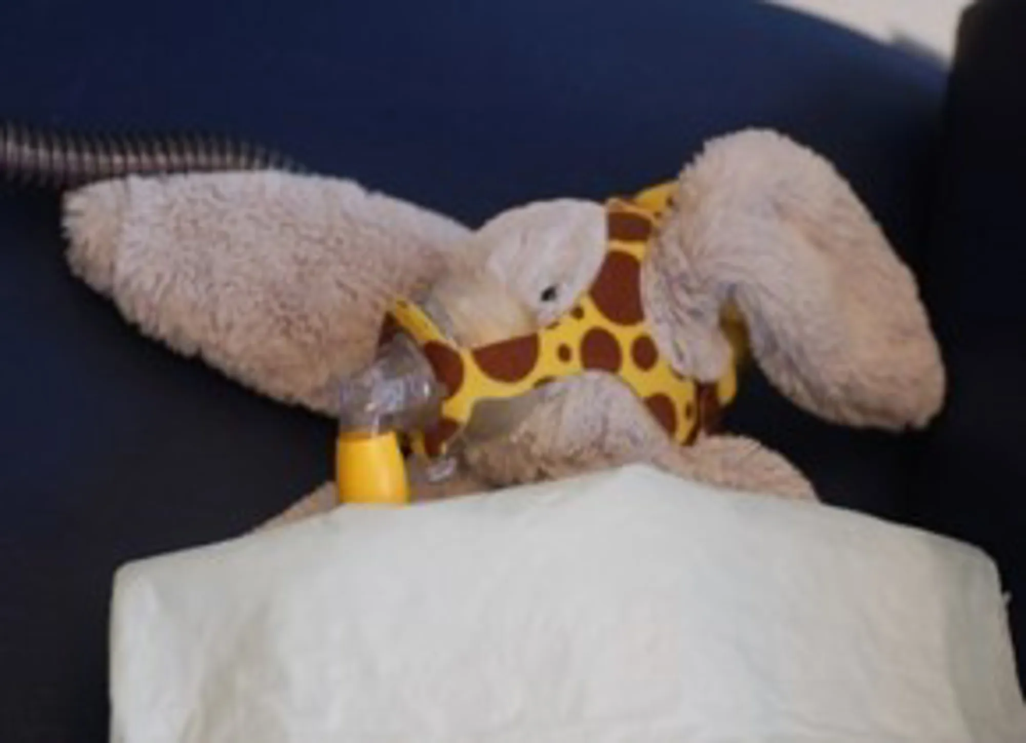 SE! Nå sover Kine Kanin rolig og godt.  Innimellom blåser det litt  fra masken, men det gjør ingenting. Mamma eller pappa fikser