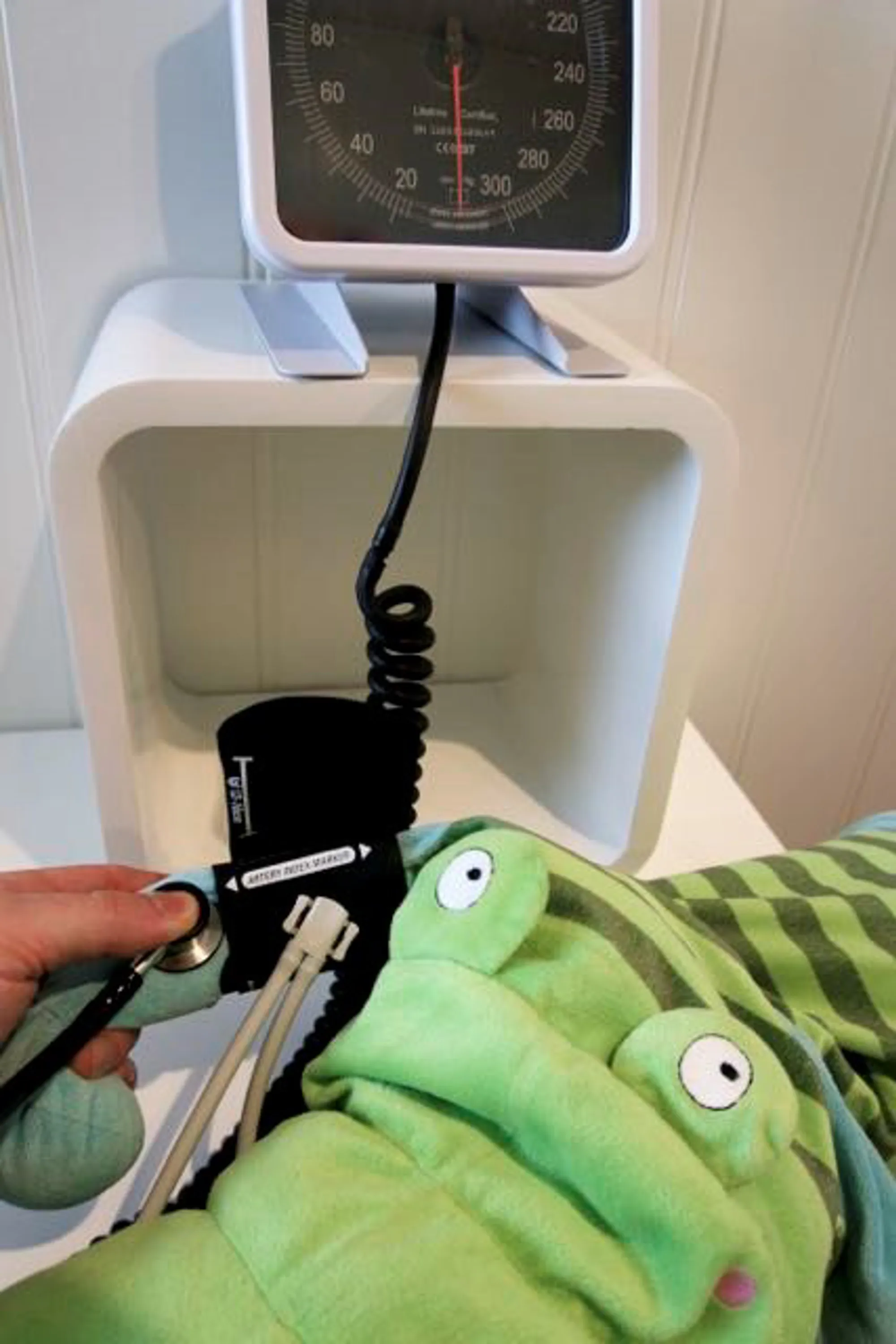 BlodtrykksmÃ¥leutstyr demonstreres pÃ¥ kosebamse. Foto